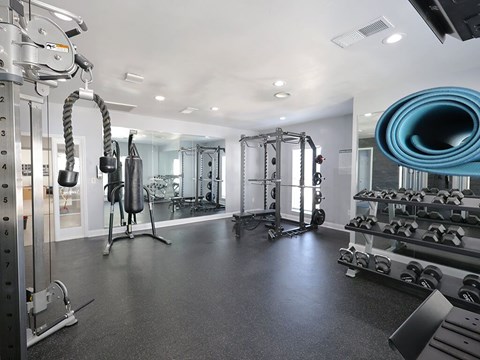 A gym with a variety of equipment including weights and a bench.