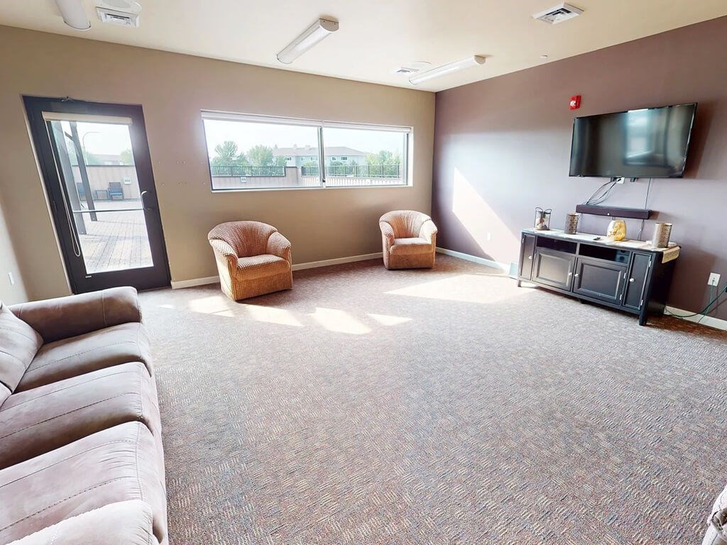 A living room with a grey carpet and a brown sofa.
