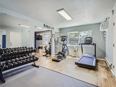 the gym is equipped with cardio equipment and weights