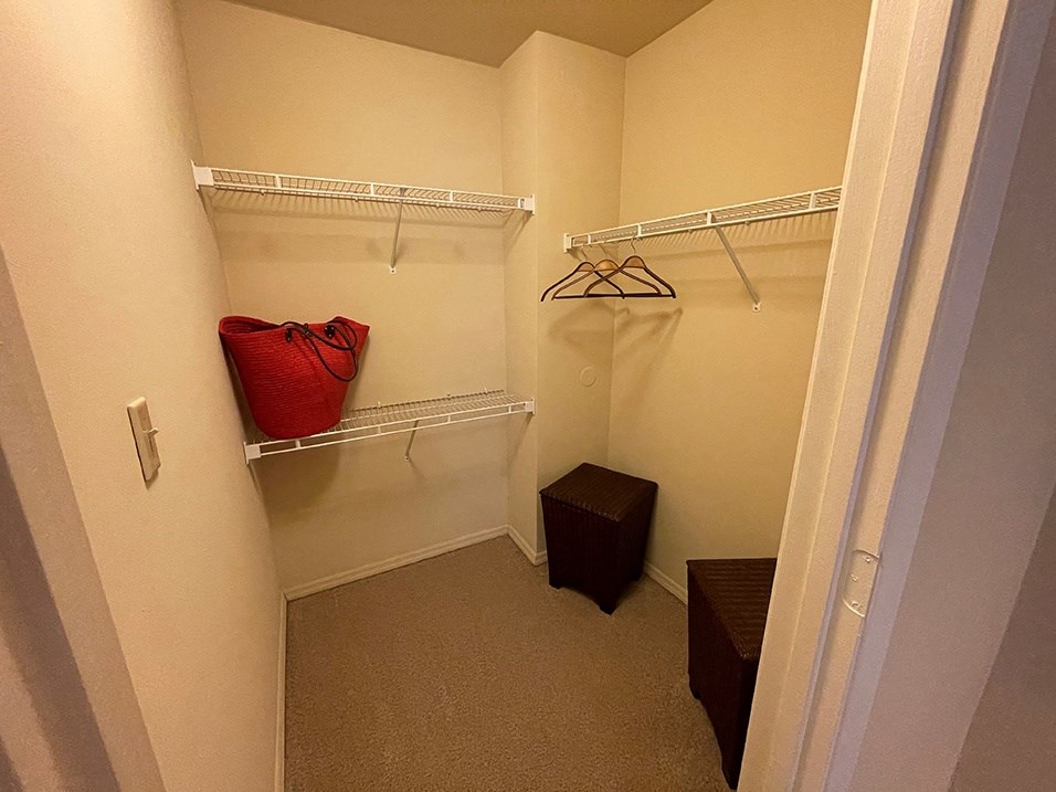 bedroom with a walk in closet
