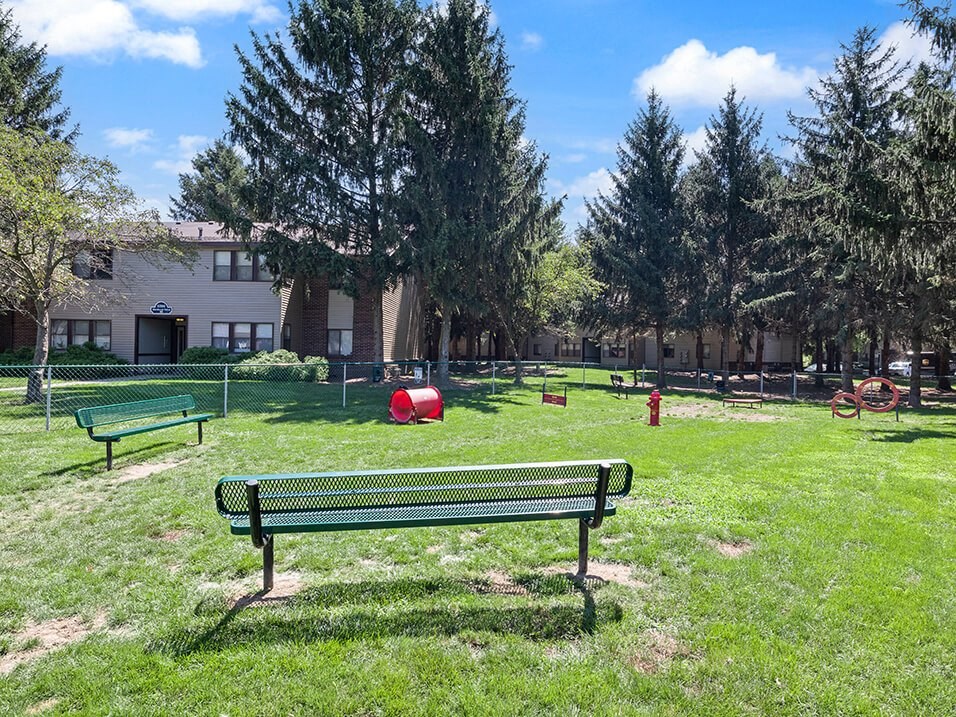 a park dog with benches at apartment