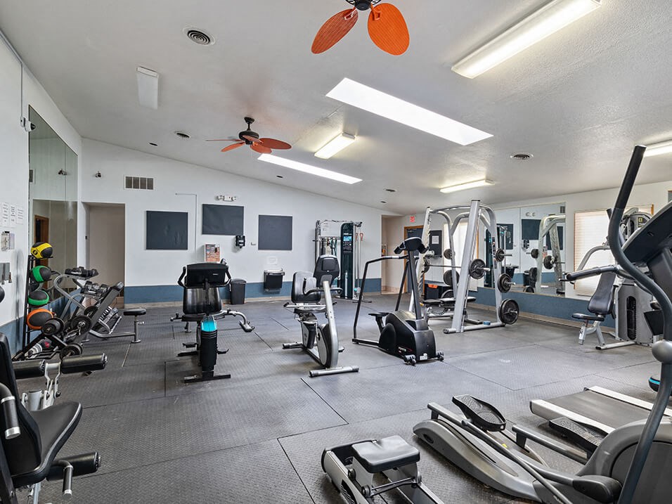 a gym with weights and cardio equipment