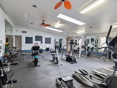 a gym with weights and cardio equipment