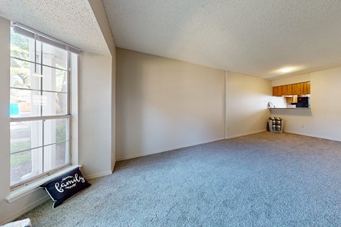 A room with a carpeted floor and a window.