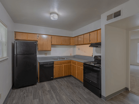Fully-Equipped Apartment Kitchen