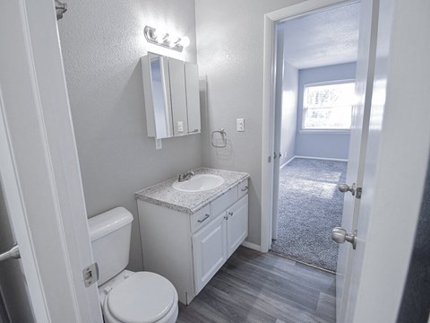 a bathroom with a sink toilet and a mirror