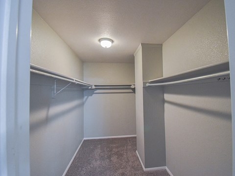 Large walk in closet with a carpeted floor and a single light fixture on the ceiling.