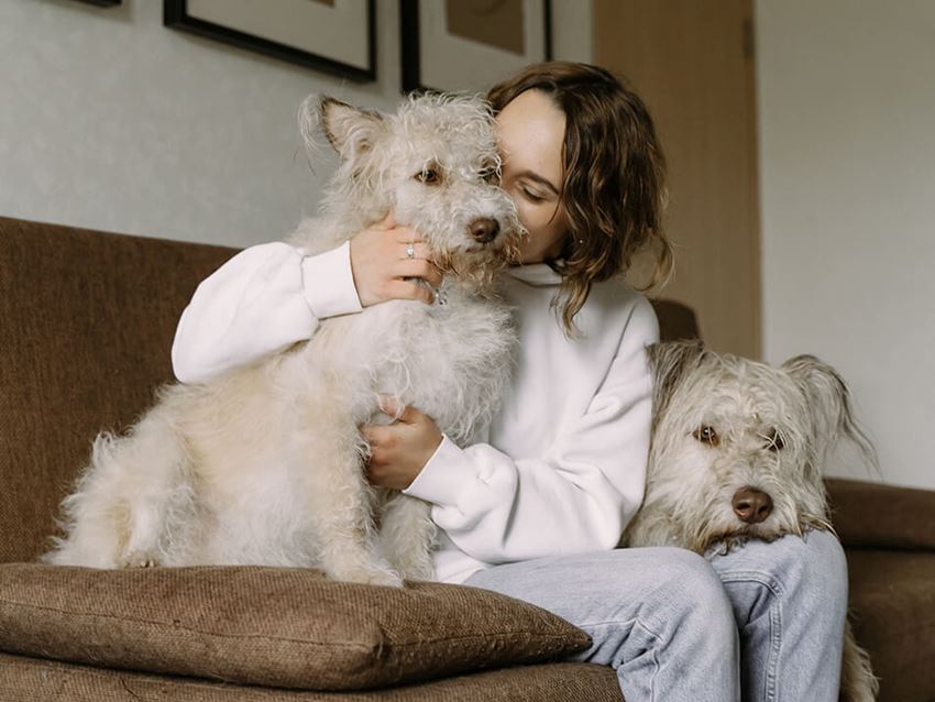 dogs at pet Friendly Apartments - Photo Gallery