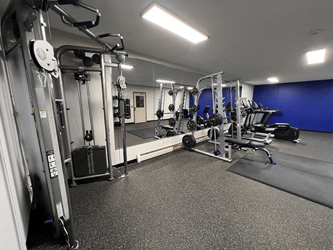 a fully equipped gym with free weights and cardio equipment