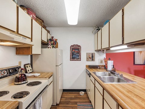 a kitchen with a stove sink and refrigerator