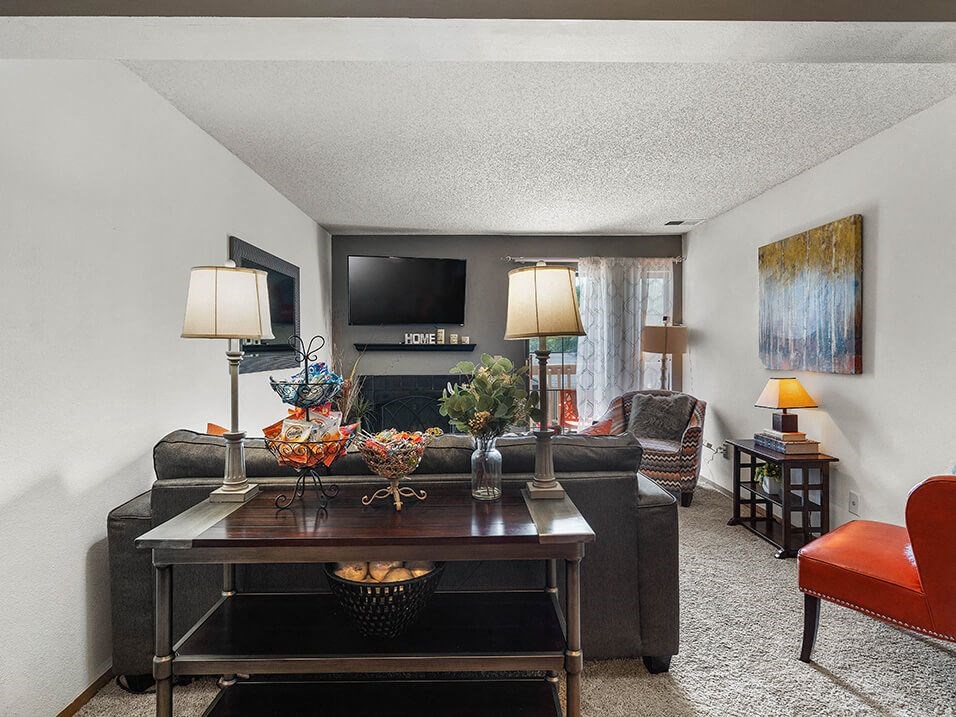 apartment living room with a couch