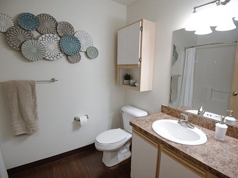 a bathroom with a sink toilet and a mirror