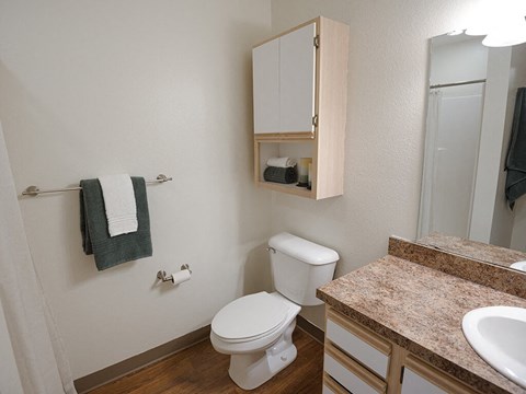 a bathroom with a toilet and a sink and a mirror