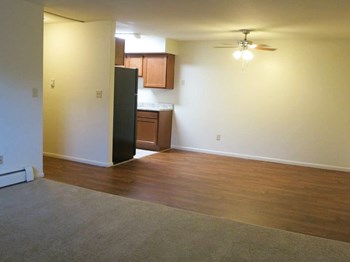 apartment with Wood-Style Flooring - Photo Gallery 3