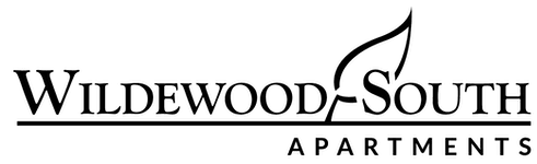 A black screen with no visible content.