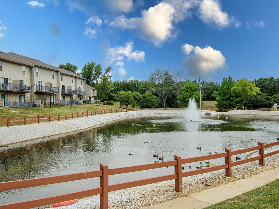 a pond with ducks and a fountain in front of a building