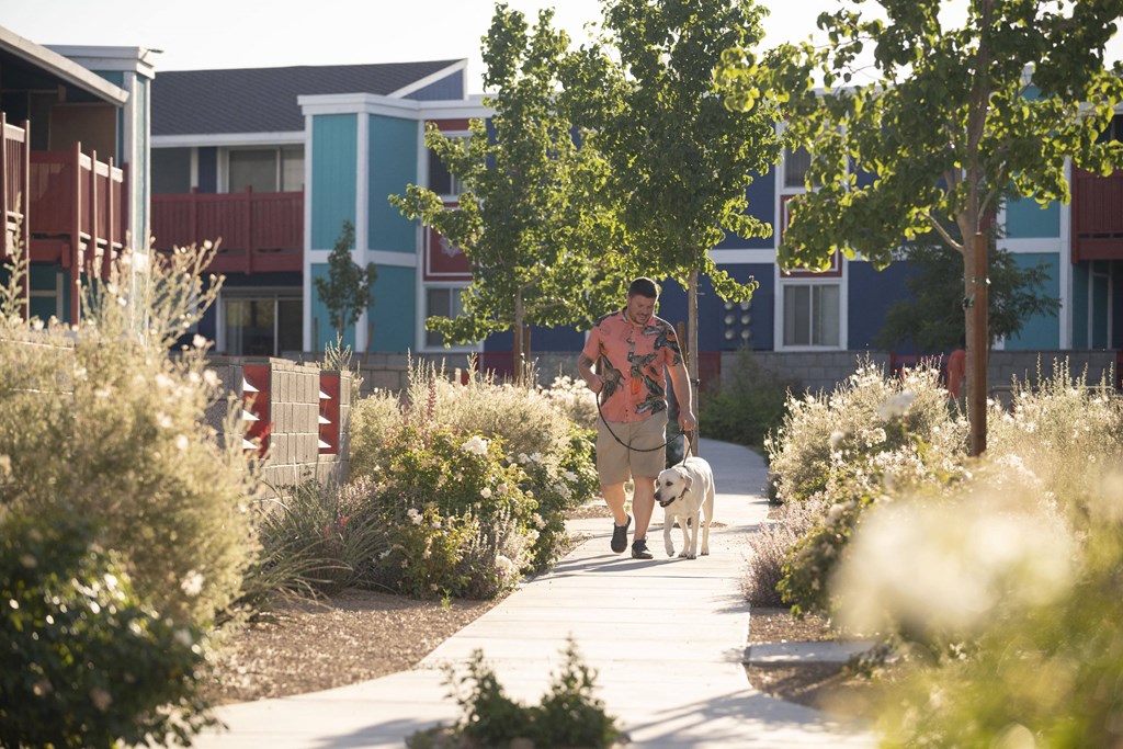 A man walking a dog on a path in a park. at Namaste Apartments, Las Vegas, NV
