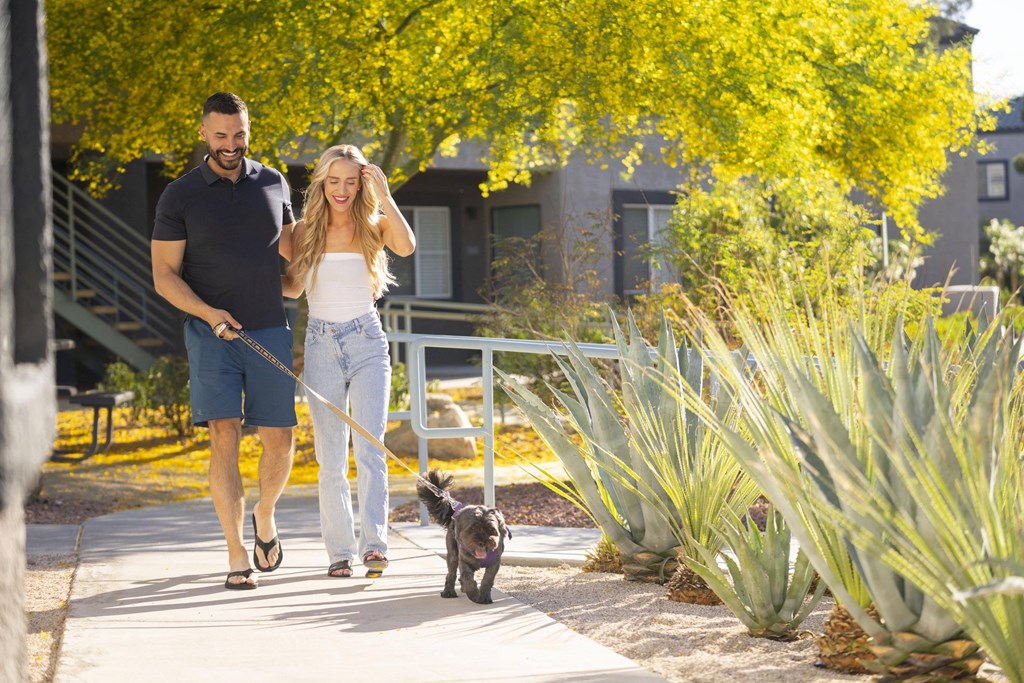 A man and woman walking a dog on a leash. at The 95 Apartments, Las Vegas, 89129