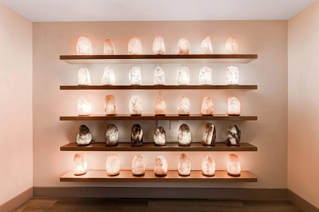 Shelf View at Namaste Apartments, Las Vegas, Nevada