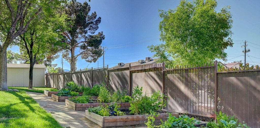 A garden with a fence and trees. at Solstice Apartment Homes, Las Vegas, NV