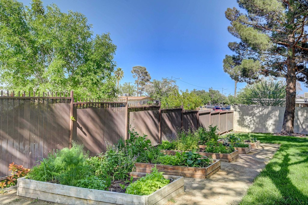 Garden Area at Solstice Apartment Homes, Nevada, 89108