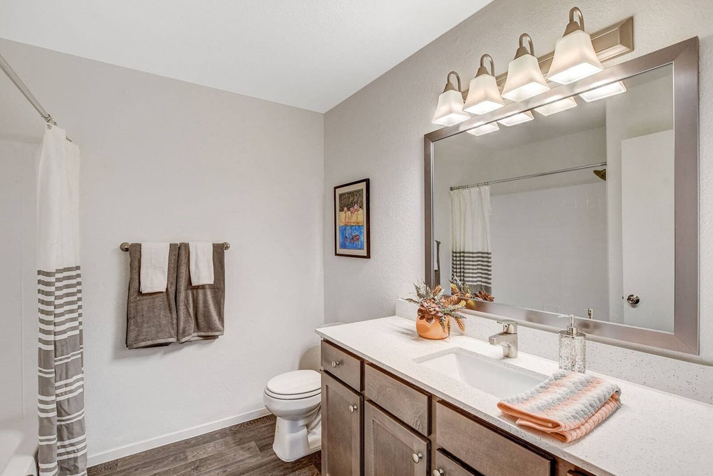 Bathroom With Bathtub at The 95 Apartments, Nevada