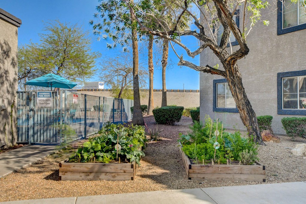 Courtyard Garden Area at The 95 Apartments, Las Vegas, NV