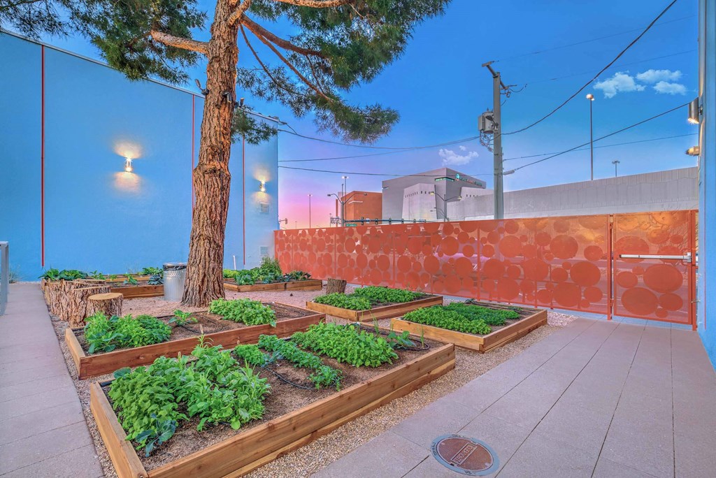 Garden Area at The Neon Apartments, Nevada