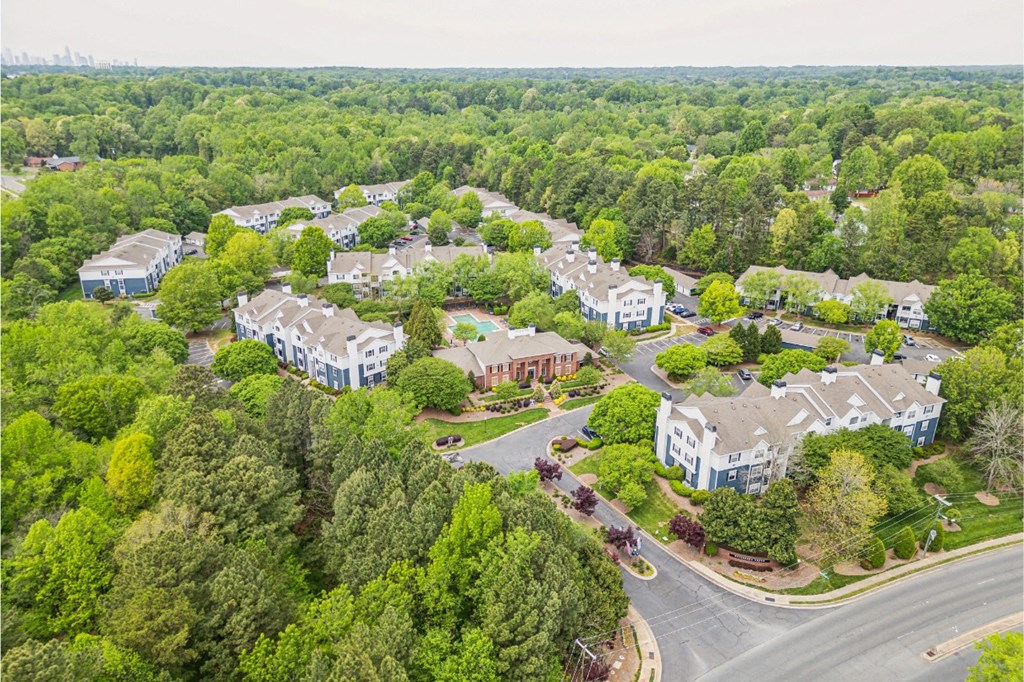 a row of green plants in front of a fence