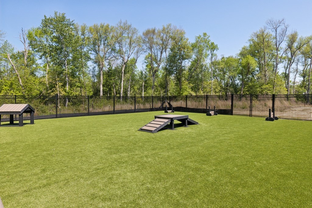 a picnic area in the middle of a dog park