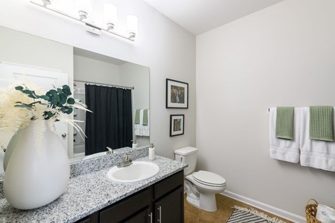 A white vase with white flowers sits on a granite countertop in a bathroom with a toilet and a sink.