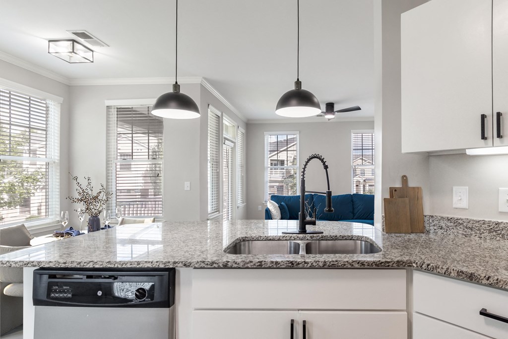 A modern kitchen with a granite countertop and a dishwasher.