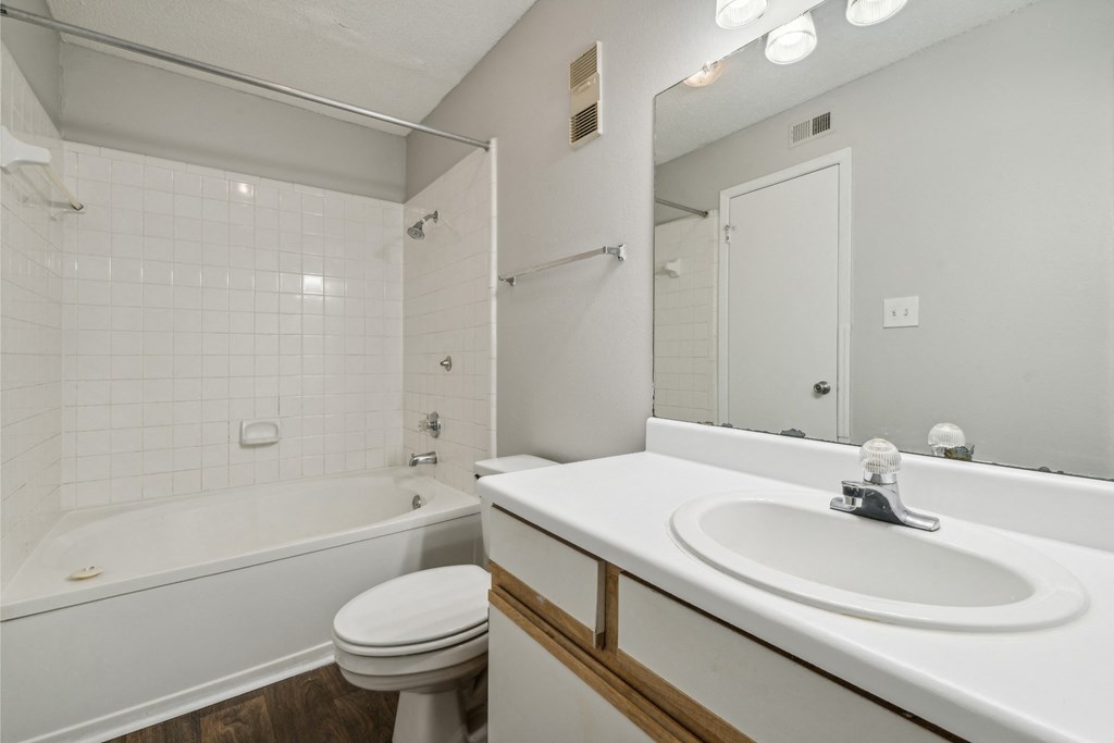 a bathroom with a sink and a toilet and a bath tub