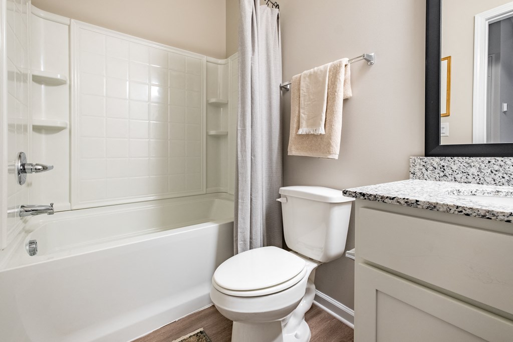 a bathroom with a toilet and a tub and a sink