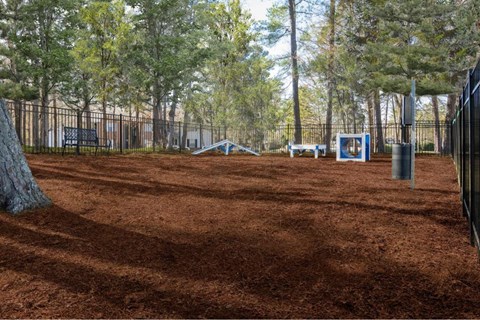 Pet Park with agility course
