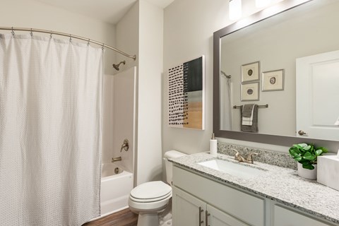 a bathroom with a shower sink and toilet and a mirror