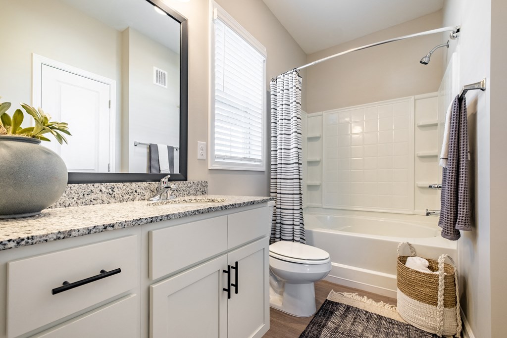 a bathroom with a shower toilet and sink and a mirror
