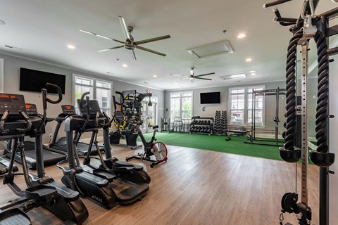 a home gym with weights and cardio equipment and a green rug