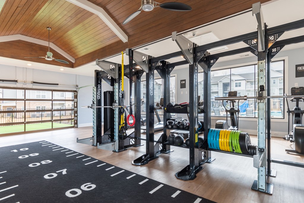 West Park And The Vue*