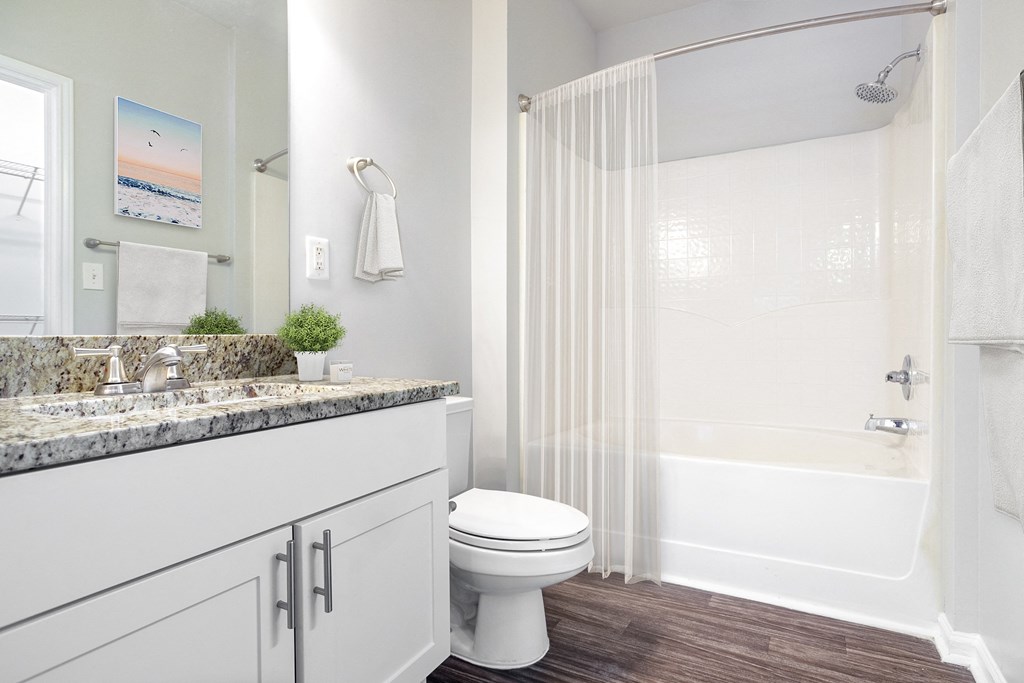 a bathroom with a toilet and a bathtub with a shower curtain