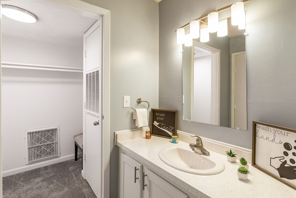 a bathroom with a sink and a mirror