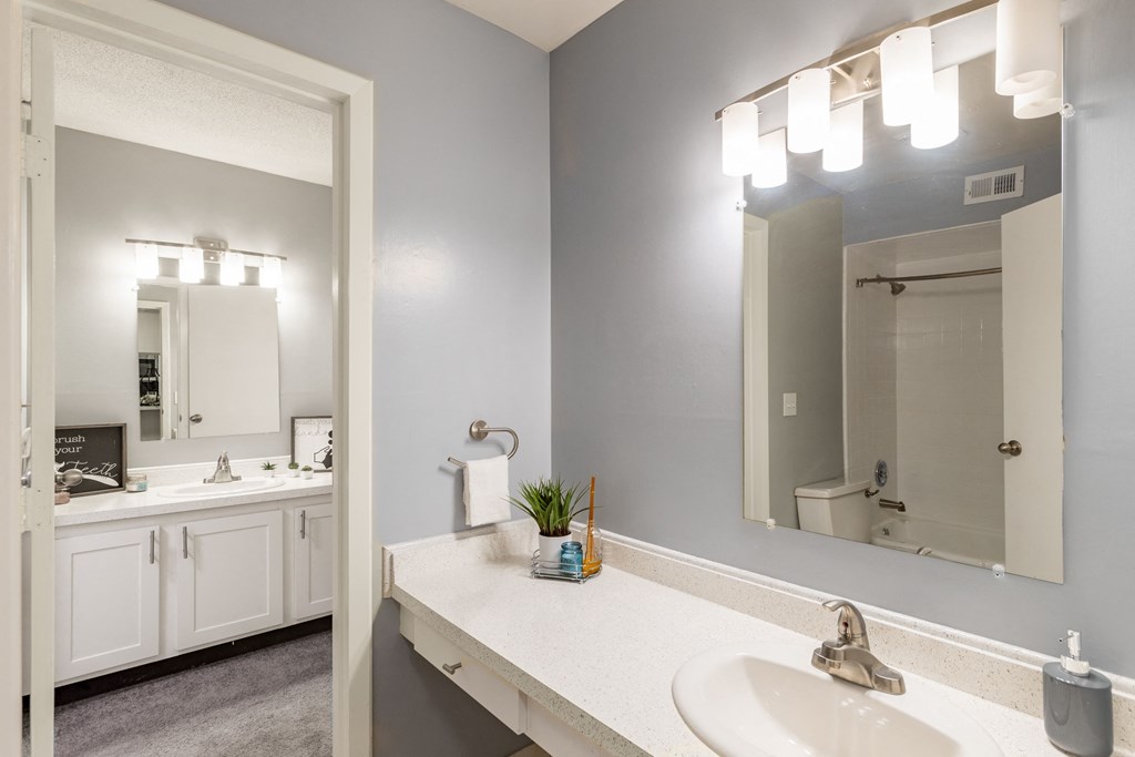 a bathroom with a sink and a mirror and a shower