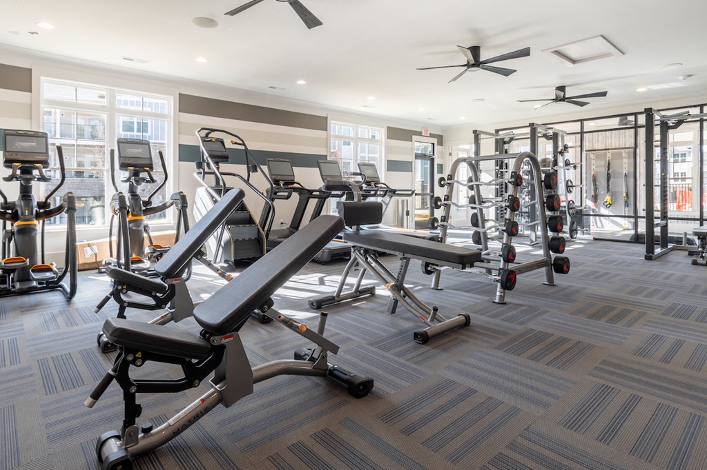 a gym with weights and cardio equipment in a building