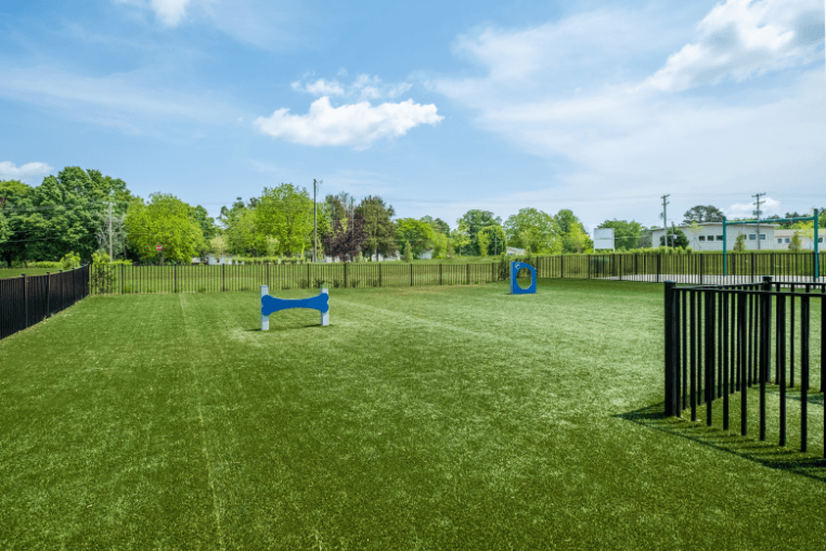 Amenities a yard with a fence and two blue chairs on the grass