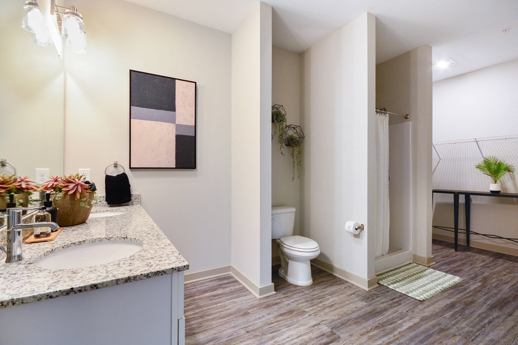 a bathroom with a toilet and a sink and a mirror