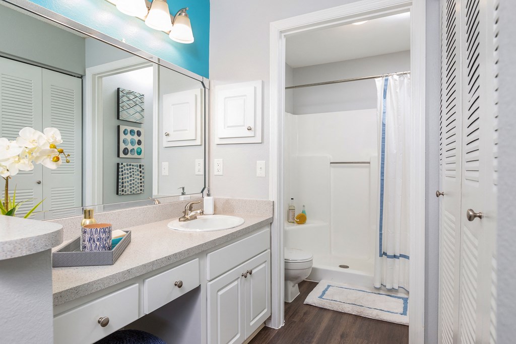 a bathroom with a sink and a mirror and a shower