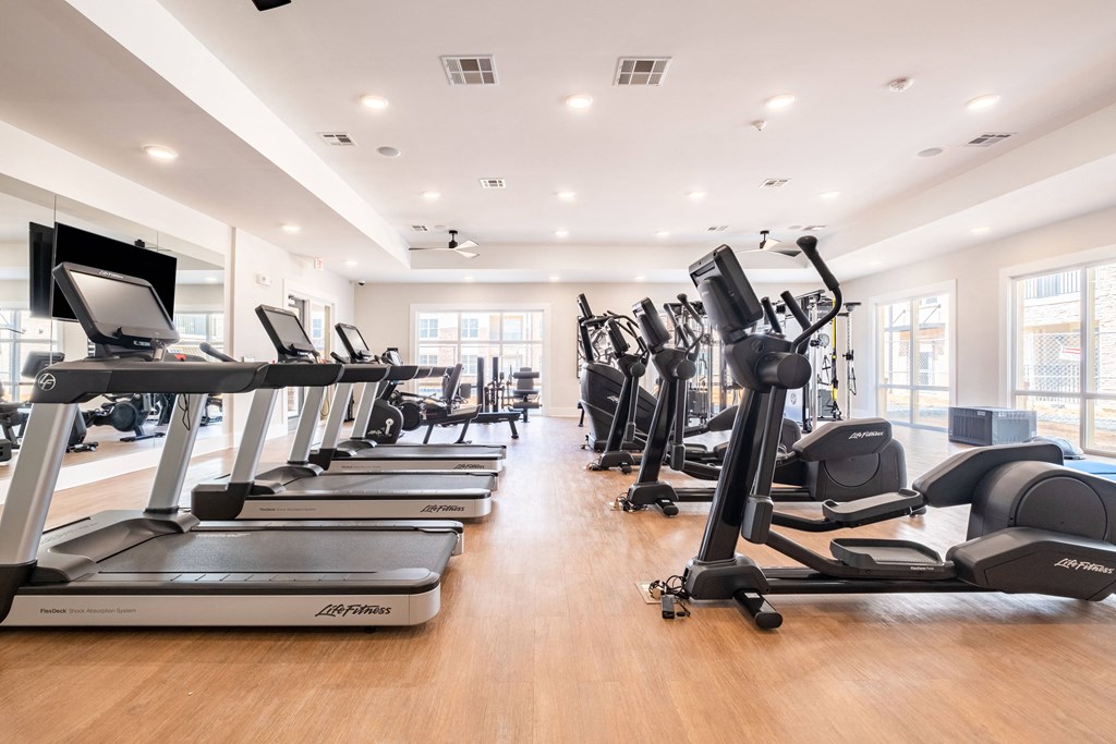 a row of treadmills and ellipticals in a gym