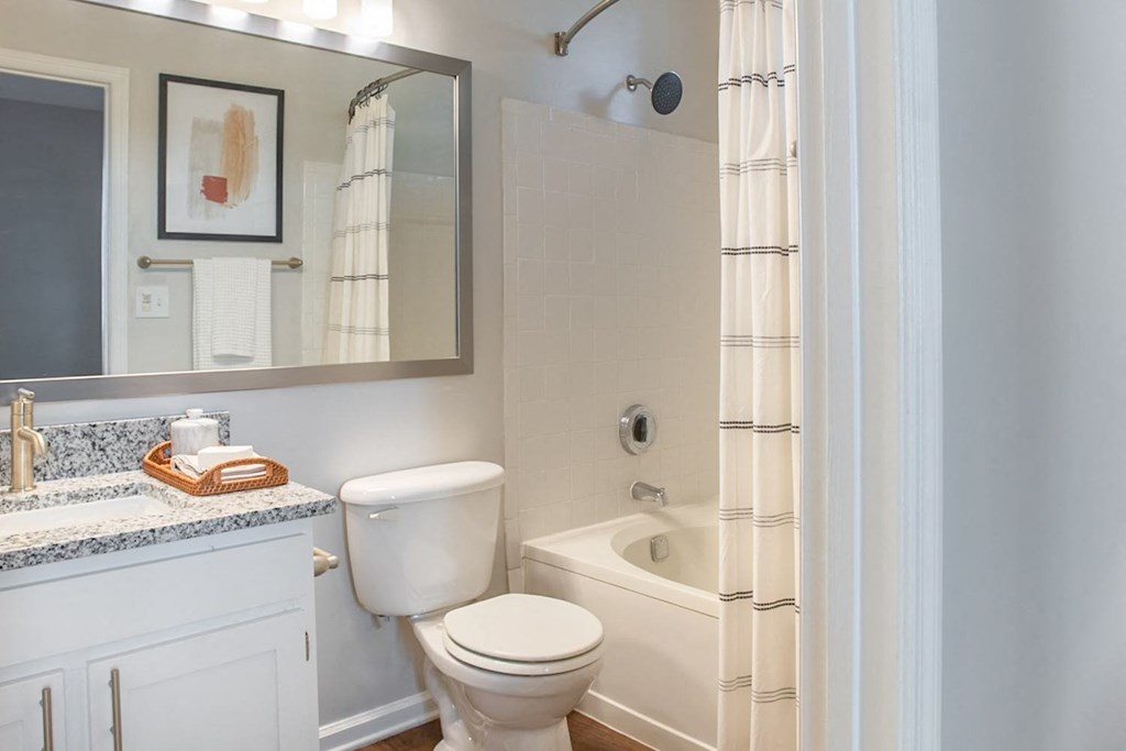 Modern Bathroom with Oversized Garden Tub and Custom Cabinetry