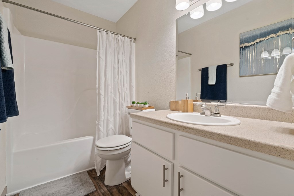 a bathroom with a sink and a toilet and a shower