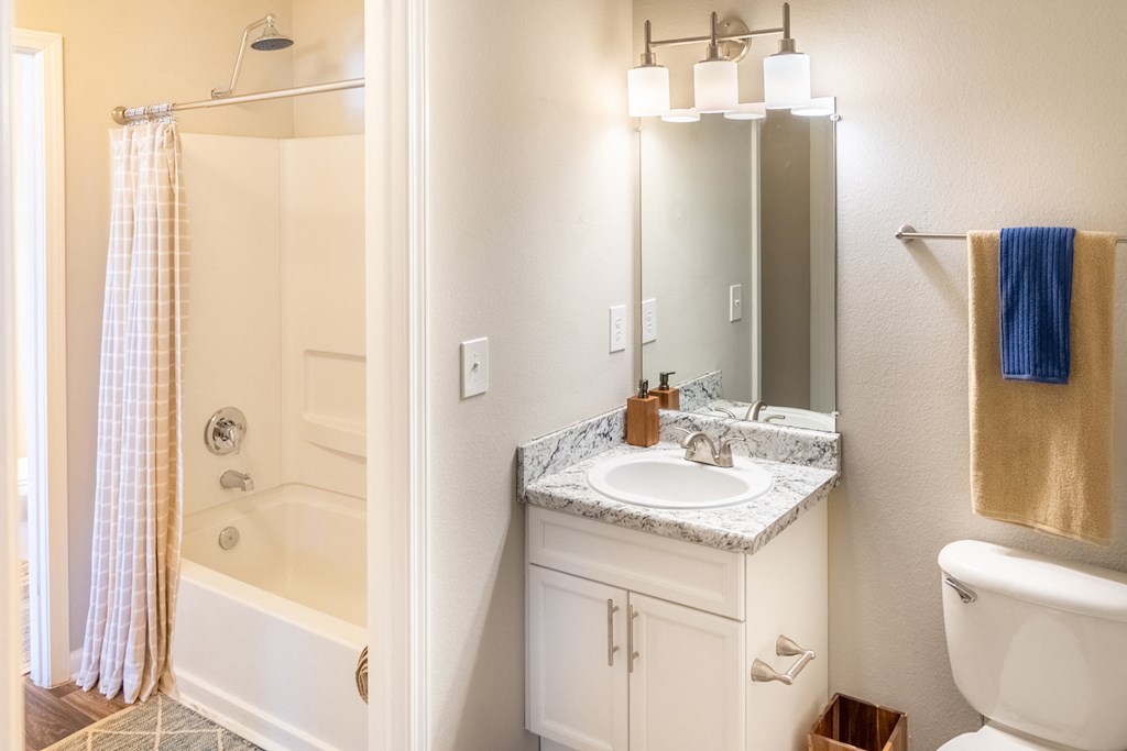 a bathroom with a shower sink and toilet and a mirror